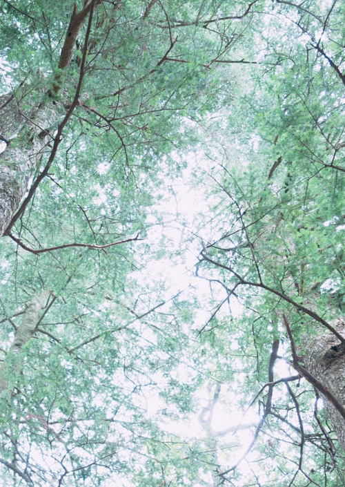 私はあなたを恨んでいる