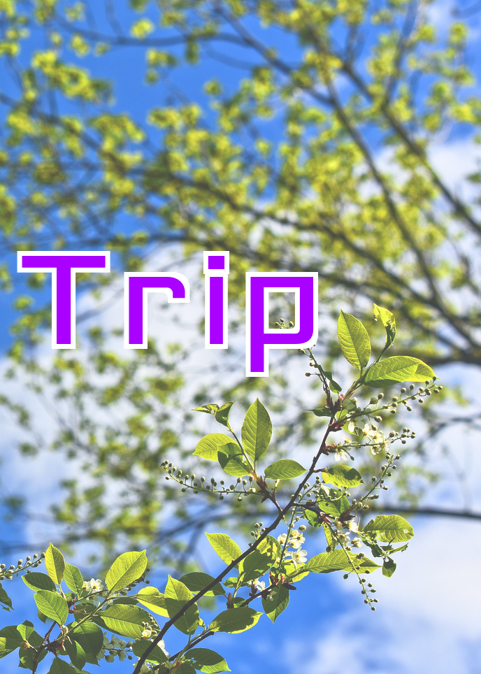 Trip