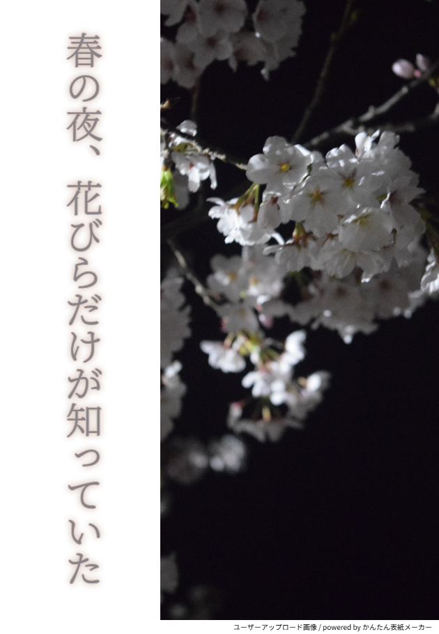 春の夜、花びらだけが知っていた