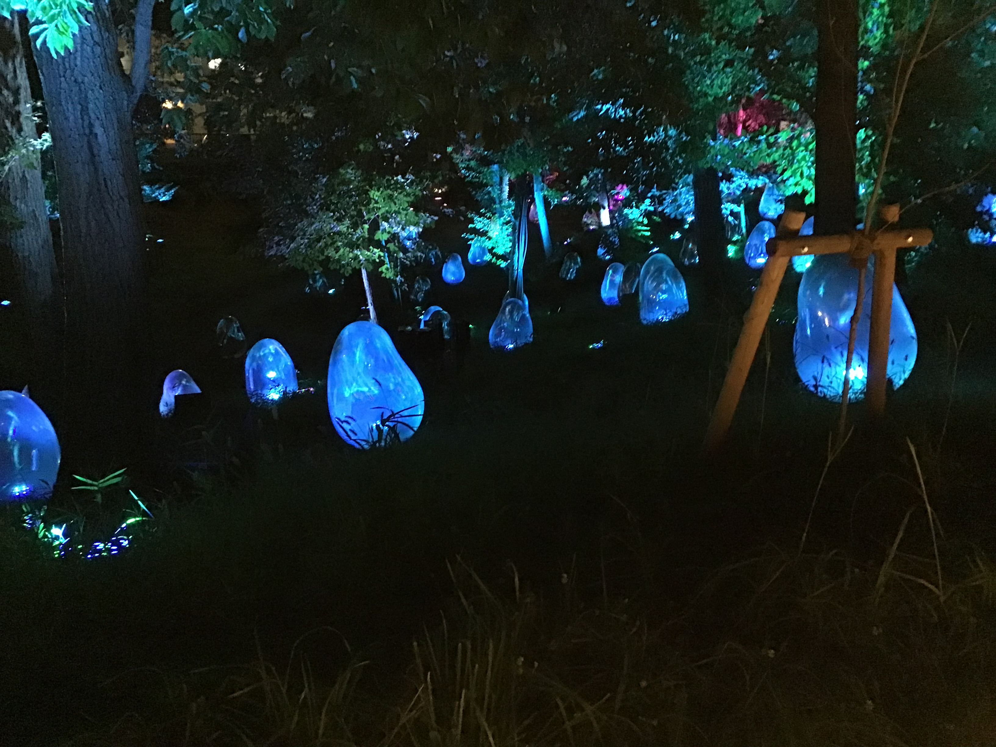 スケベニアファミリー　変態大家族