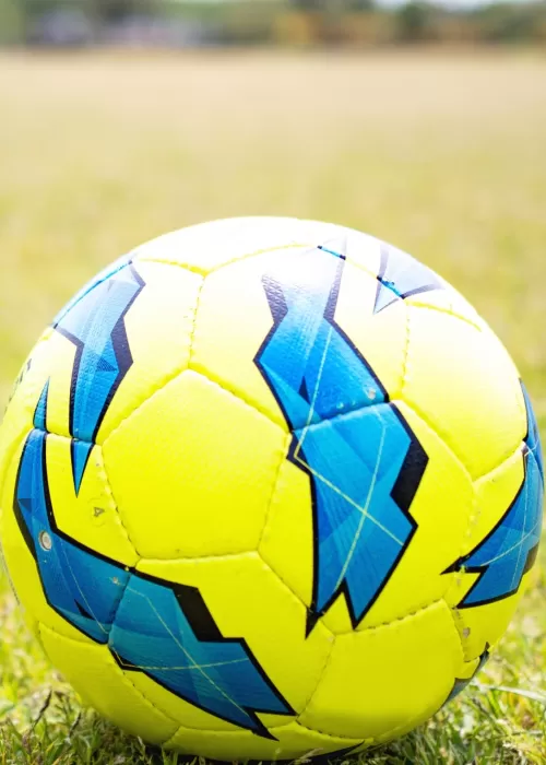 雪に捧げる約束のシャーレ