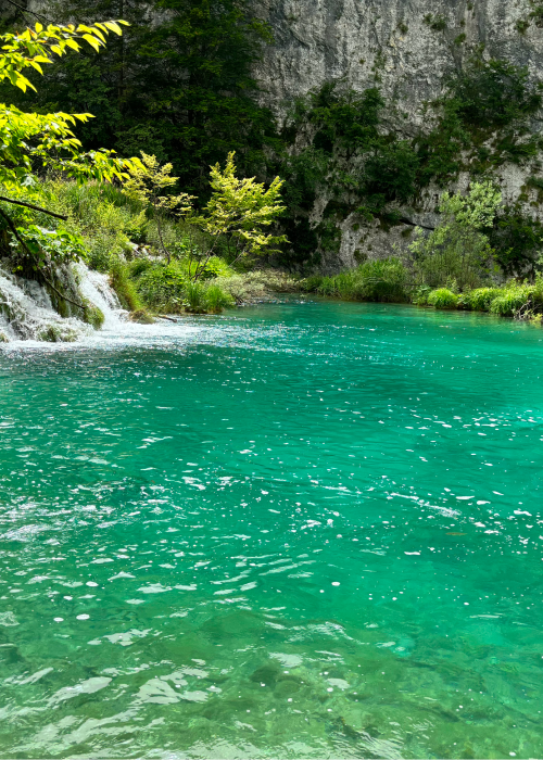 カッパとともに河を流れ