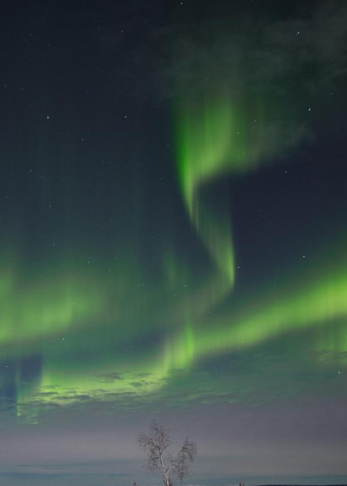 見せる男と脅してくる少女との不思議な恋、と二人